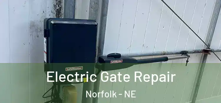  Electric Gate Repair Norfolk - NE